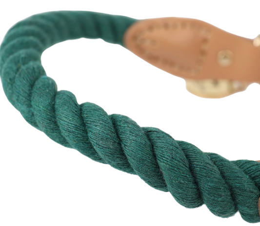 Wander Rope Dog Collar, Green (Small)