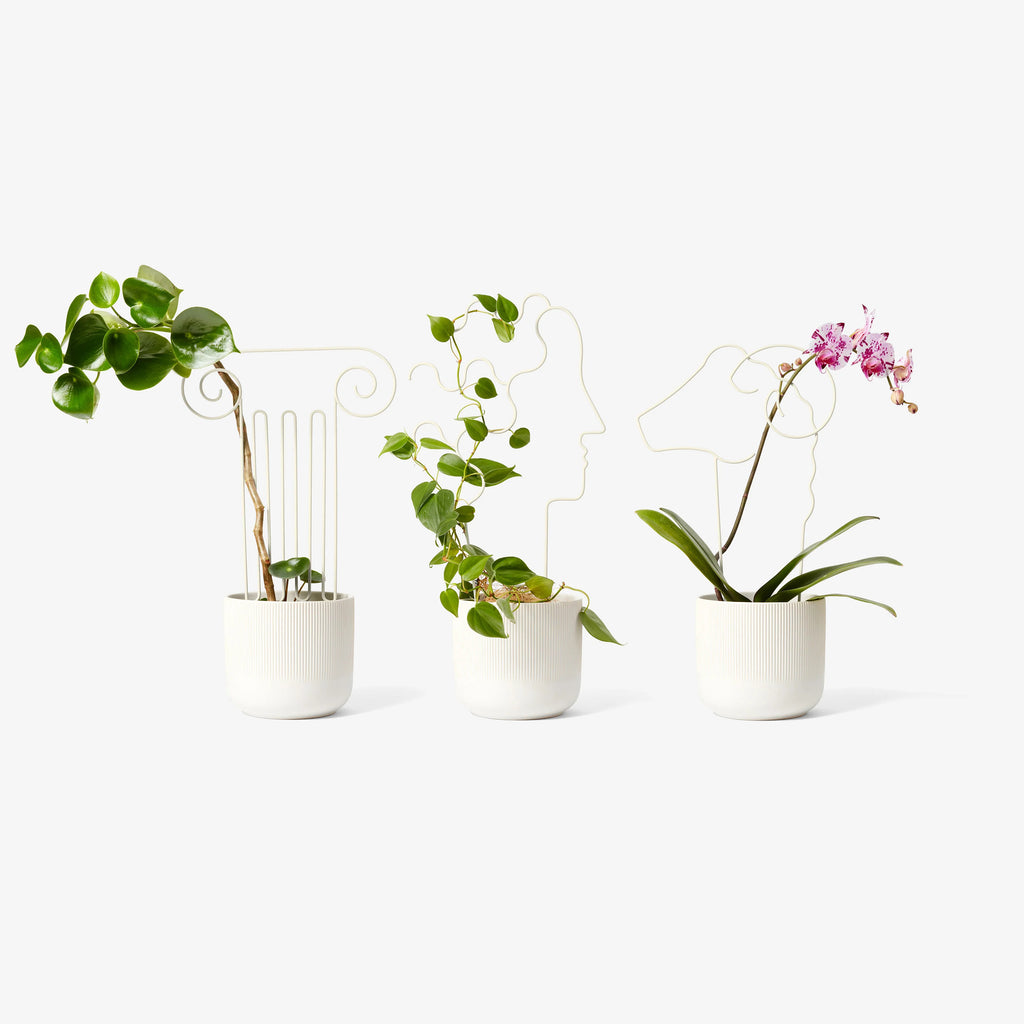 areaware plant trellis Plant Trellis