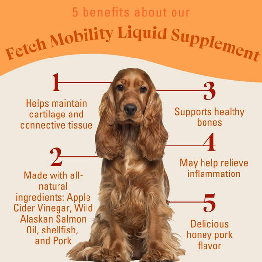 Mobility Liquid Dog Supplement