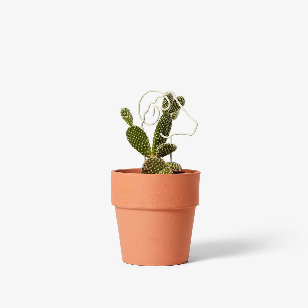 areaware plant trellis Plant Trellis