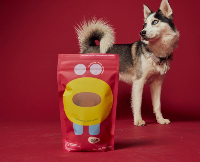 Beyond the Label with The Odd Food, for dogs!