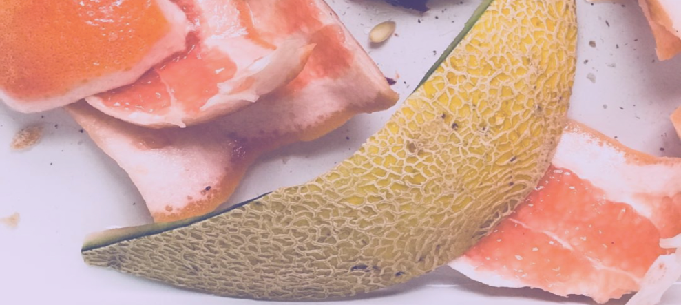 Fork Food Waste