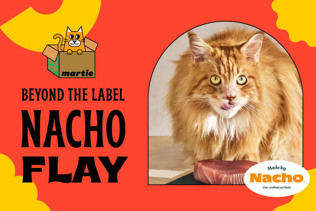 Beyond the Label with Nacho, the lead taster from Made By Nacho Cat Food