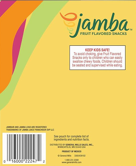 Fruit Snacks - Mango A Go-Go King Size (12 Pack)