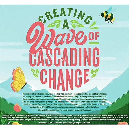 Dark Chocolate Chip Chewy Granola Bars (6 CT)