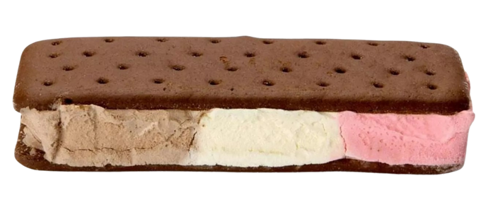 Freeze-Dried Neopolitan Ice Cream Sandwich