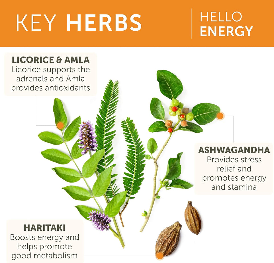 Hello Energy Adrenal Support Vegetarian Supplement (60 CT)