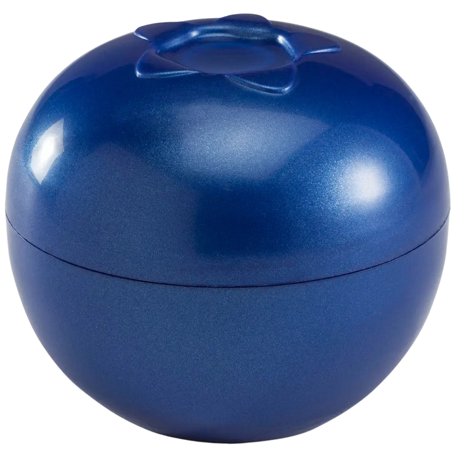 Blueberry Keeper Storage Container