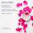 Rose Petals Rosewater Facial Mist