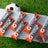 Whey Protein Bars Mint Chocolate Crunch (12 CT)
