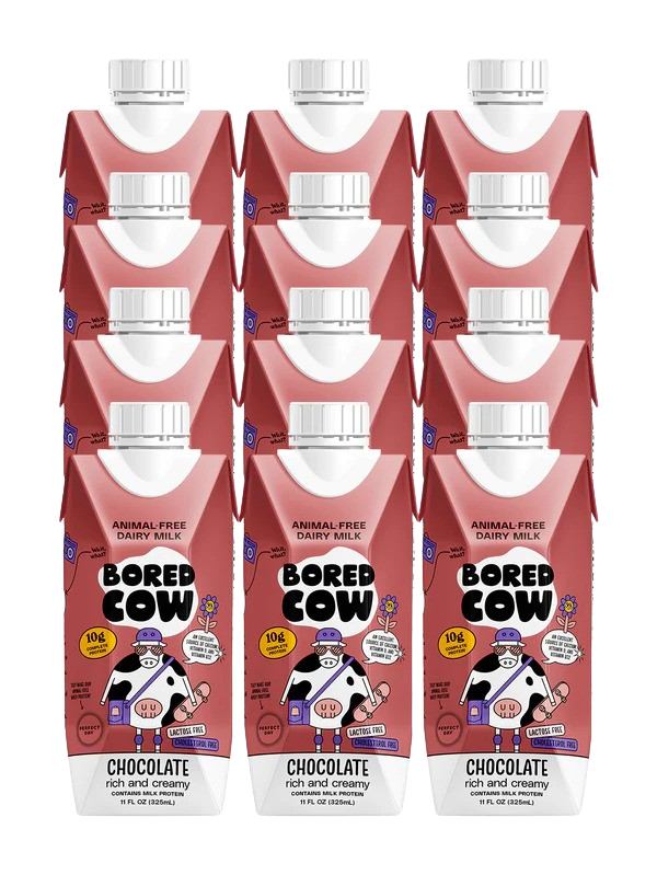 Animal-Free Dairy Chocolate Milk (12 Pack)
