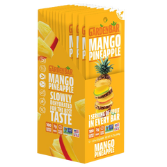 Mango Pineapple Dried Fruit Bar (12 Pack)