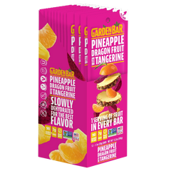 Pineapple Dragonfruit Dried Fruit Bar (12 Pack)