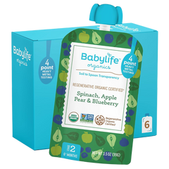 Spinach, Apple, Pear, Blueberry Baby Food Pouches (6 CT)