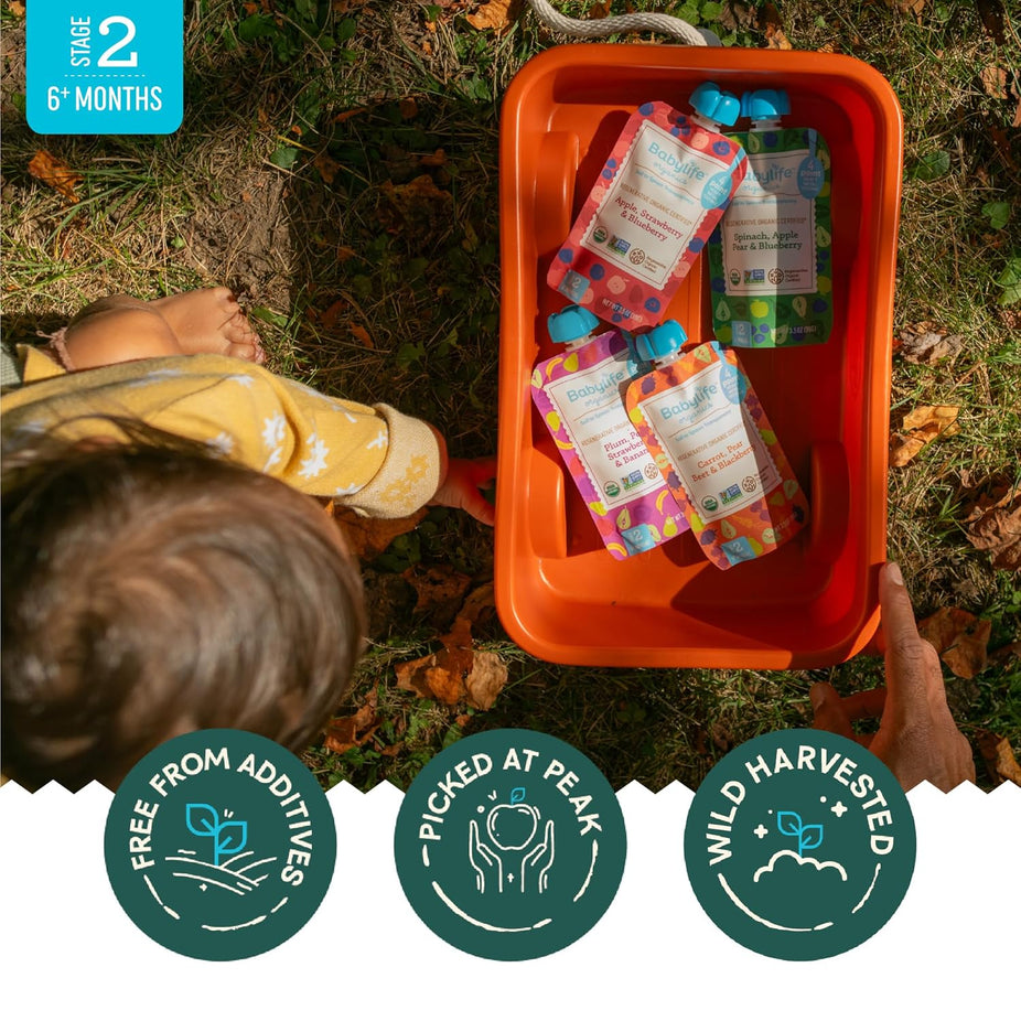 Spinach, Apple, Pear, Blueberry Baby Food Pouches (6 CT)