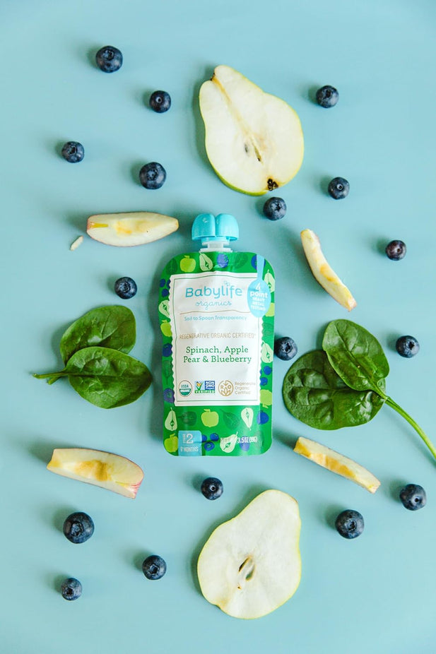 Spinach, Apple, Pear, Blueberry Baby Food Pouches (6 CT)