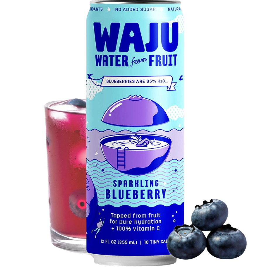 Blueberry Sparkling Fruit Water (12 Pack)