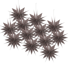 Star Capella (12 Pack)