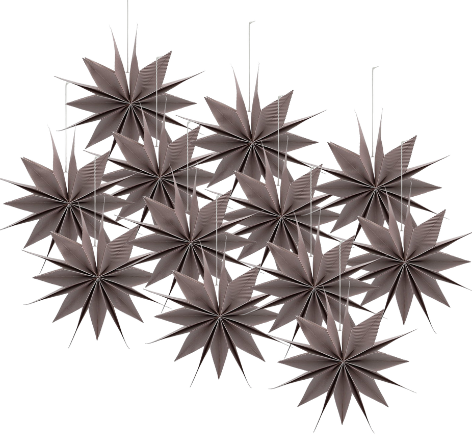 Star Capella (12 Pack)
