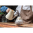 051497480561r2-cropped