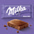 Alpine Milk Chocolate Bar