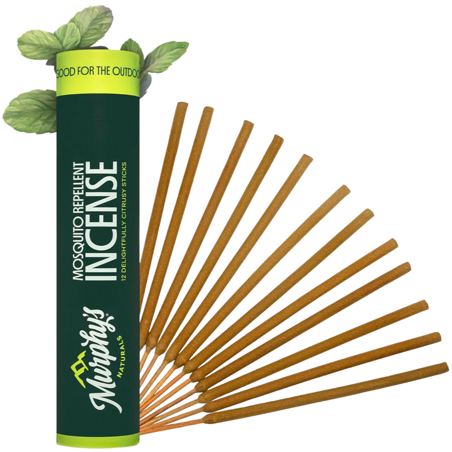 856930006076r-cropped