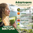 functionalmushroom3