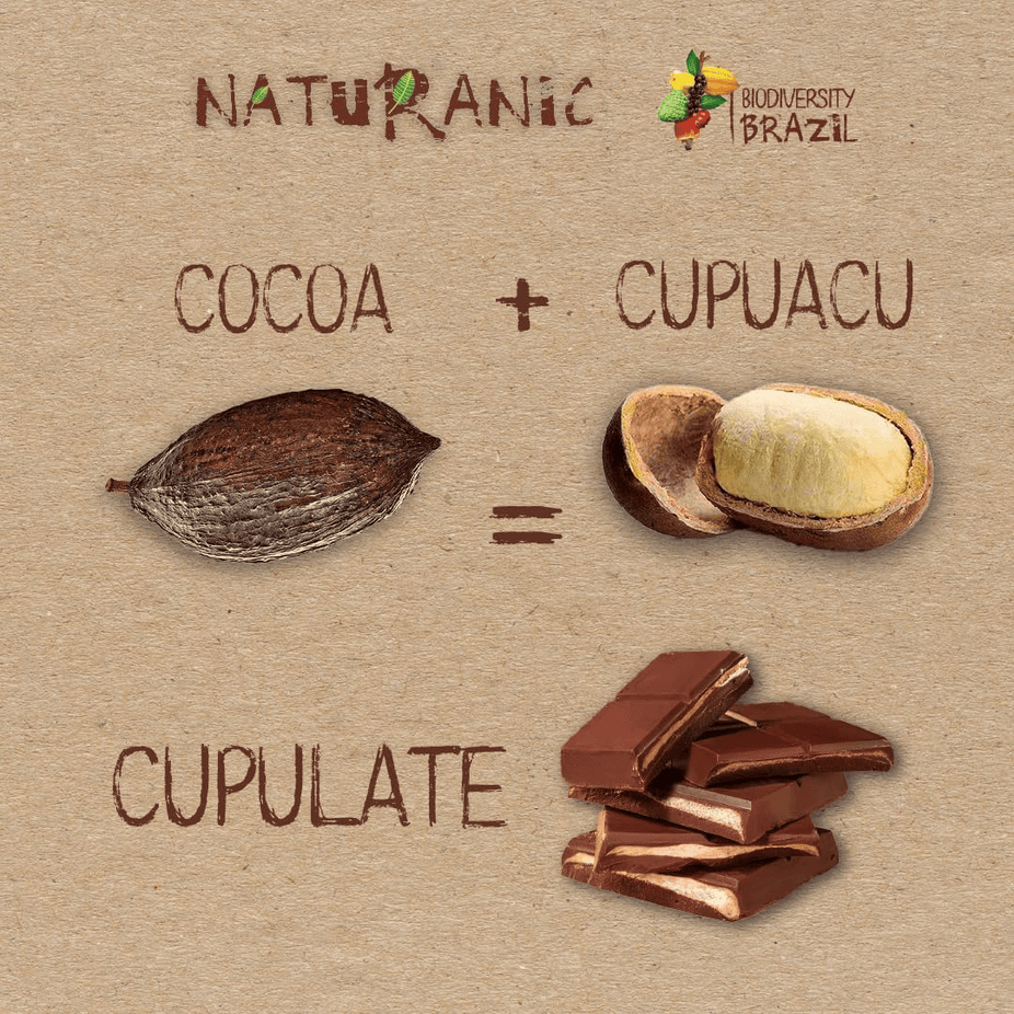 braziliandarkchocolate8