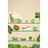 810074419222r3-cropped