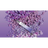 811ibmcpdvl.sl1500-1-cropped