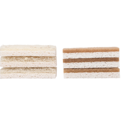 fullcirclesponge2-photoroom