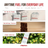 850061104076r4-no-bg