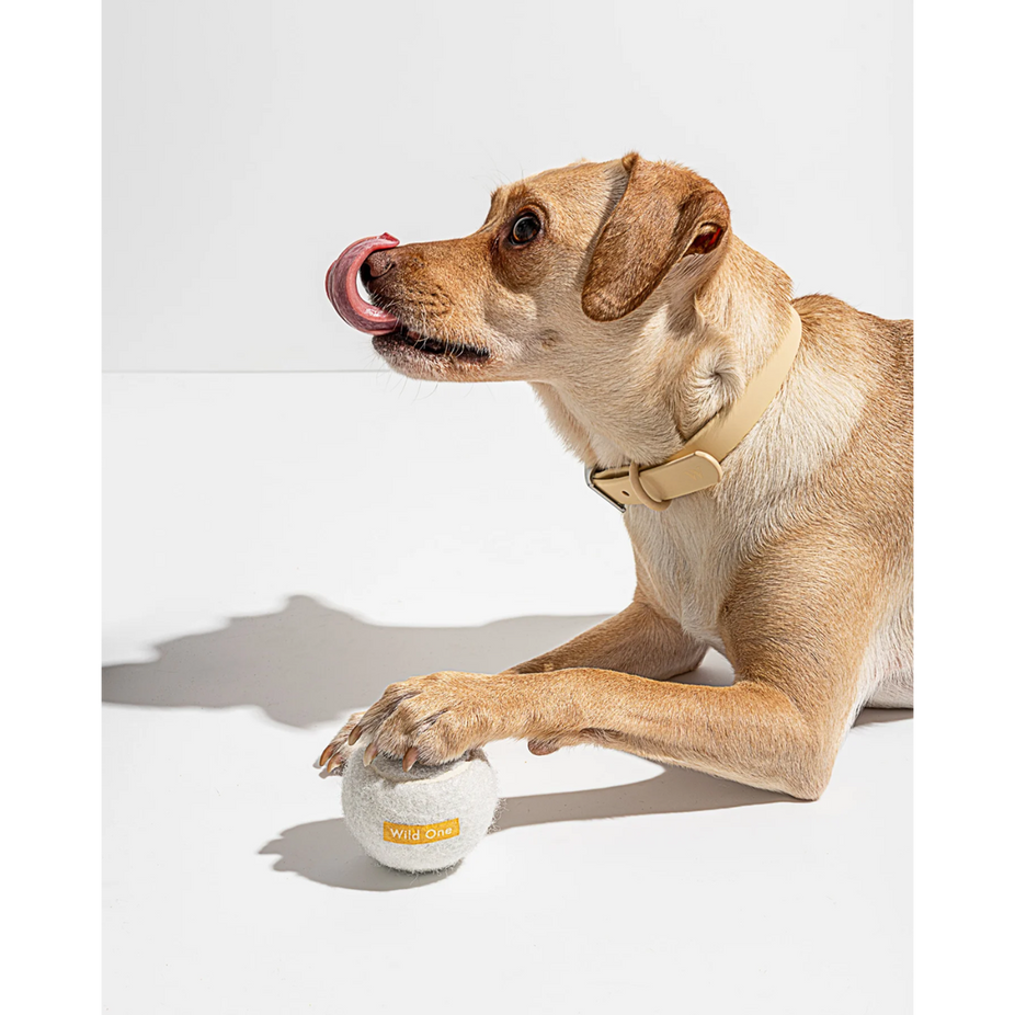 wovmstudiopdptennisballwhitedog02web-1-cropped