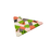 desertgarden3-photoroom