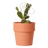 existing-image-cropped