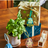 screenshot-2026-05-01-at-1.34.57-pm