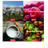076580106029r2-no-bg