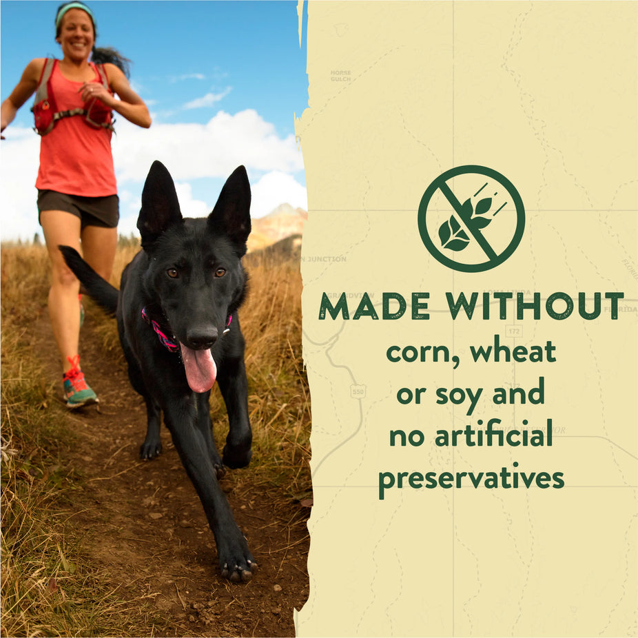 zukes-adventure-sticks-no-corn-wheat-soy-artificial-preservatives-1.jpg