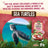 turtlesplashcereal058449205029-20502u2ea720260713193826-no-bg