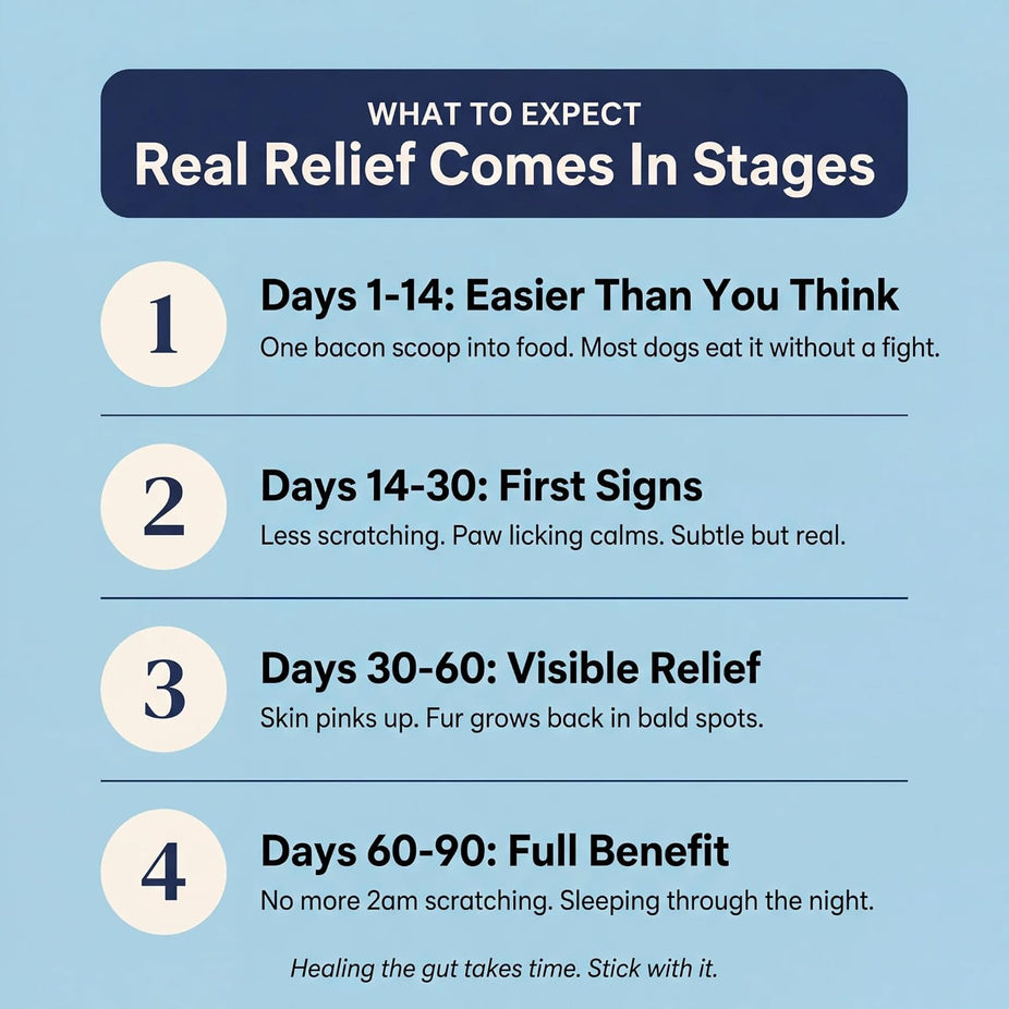 860014304279r2