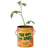existing-image-cropped