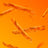 850071682052r211zon