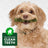 guest390fffe7-3733-426d-85a6-c99fb32b44e8