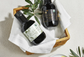 Organic Duo: Premium Everyday and Private Select EVOO