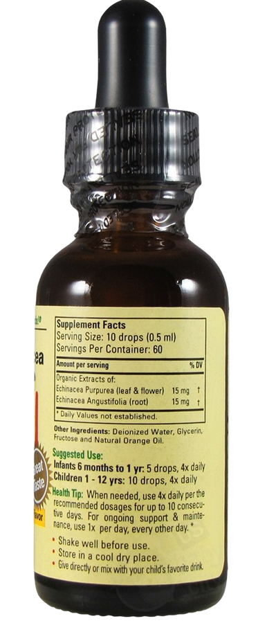 Echinacea Extract - Orange Flavor