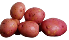 Red Potato Small