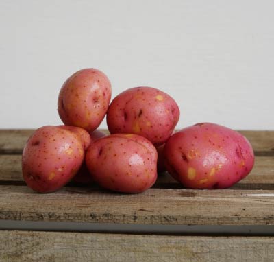 Red Potato Small