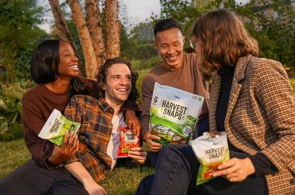 Baked Veggie Crisps Mix Snack Bag (6 Pack)
