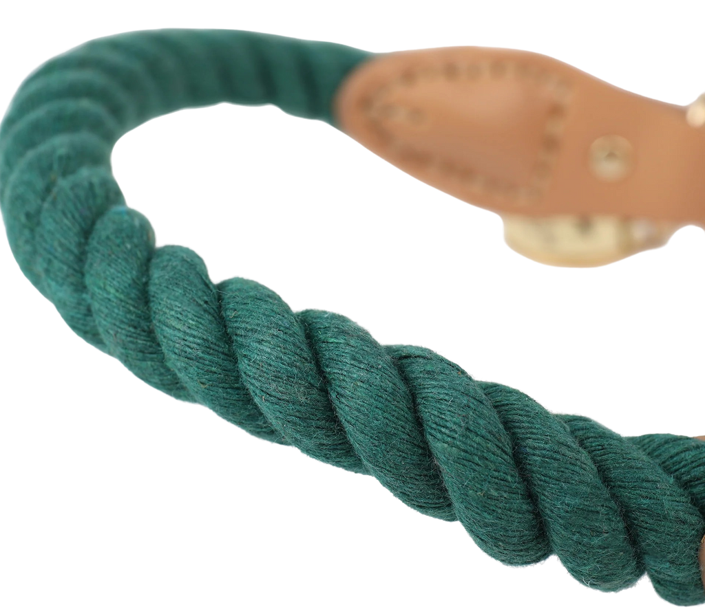 Park Life Designs Wander Rope Collar, Green (Small) – Martie