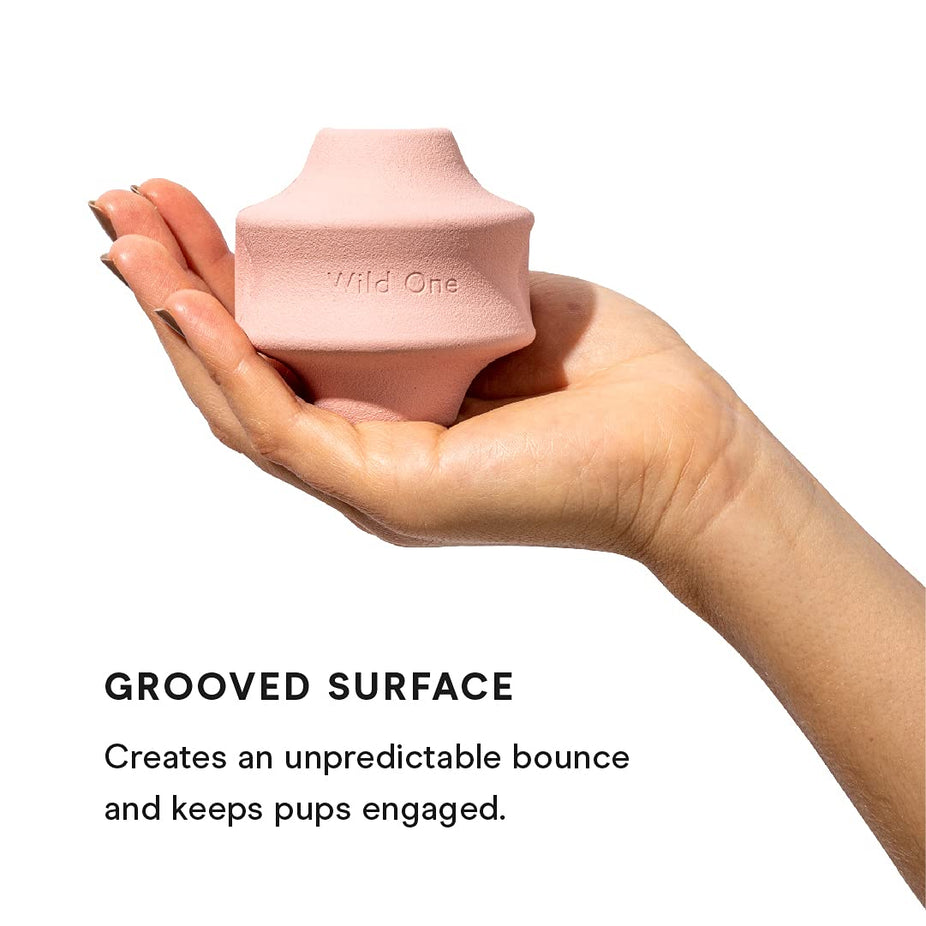 Twist Toss Interactive Dog Toy - Pink